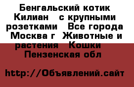 Бенгальский котик Килиан , с крупными розетками - Все города, Москва г. Животные и растения » Кошки   . Пензенская обл.